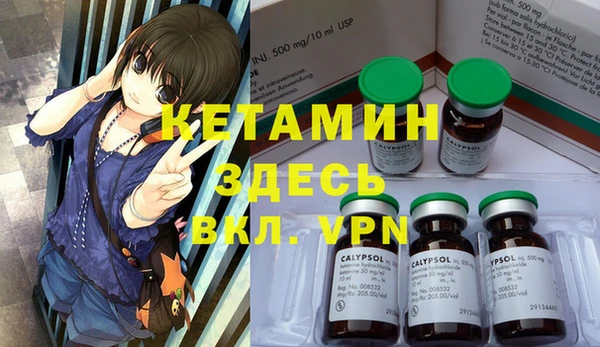 индика Богородск