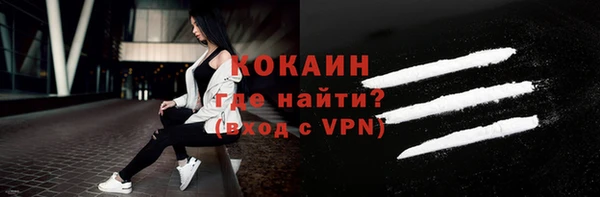 индика Богородск