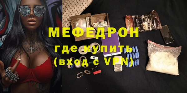 индика Богородск