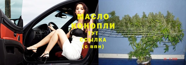 индика Богородск